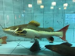-古韵轩·江浙融合菜(梁溪店)