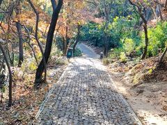 -苏州上方山国家森林公园