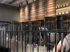 -喜茶(上海兴业太古汇店)