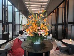 -新加坡乌节希尔顿酒店 (SG Clean)