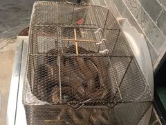 -顺德了能馆(虎门店)