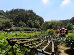 -韶山毛泽东同志故居