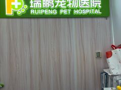 -瑞鹏宠物医院·微创内窥镜·骨外科·牙科(翠竹分院)
