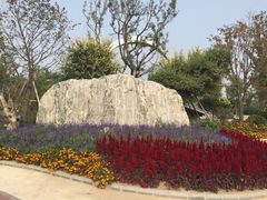 -武清南湖绿博园