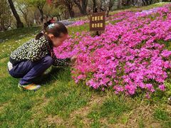 -南通洲际绿博园