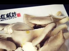 鲜蘑-红菇坊鲜汤火锅(北站店)