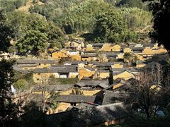 -杨家堂村