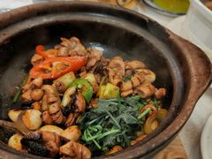 -津津菜馆(绝没分店)