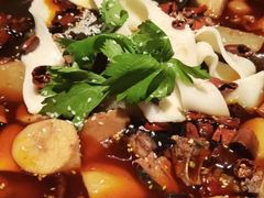 -晓彭肥肠鸡·泡椒鸡火锅(水木天地店)