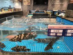 -海月轩海鲜豆捞(紫金塔店)