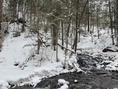 -峡谷浮石林景区