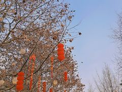 -成都欢乐谷