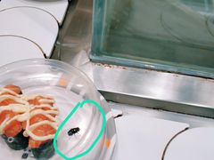 -新一番三文鱼寿司(大东海店)