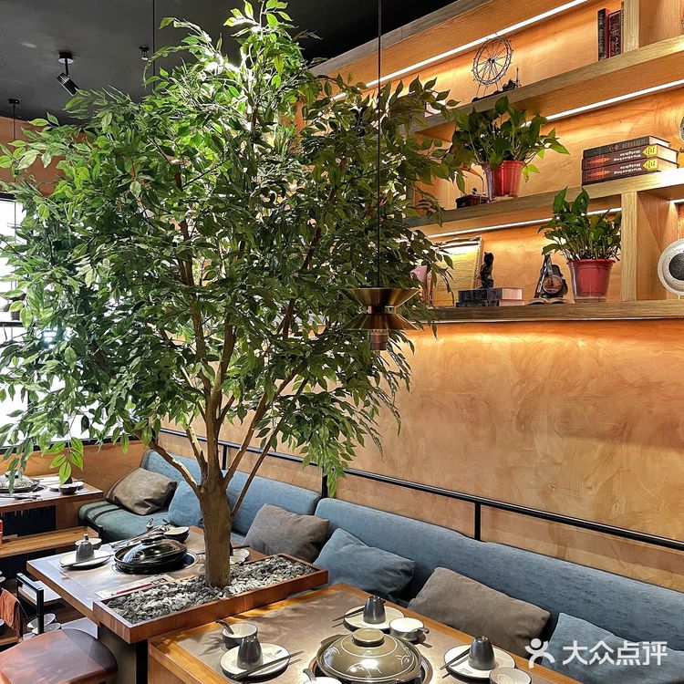 香迷糊了！宁波这家榴莲椰子鸡🥥太太好吃了