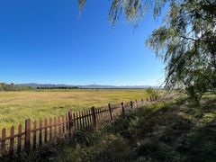 -野鸭湖国家湿地公园