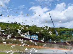 -瓷天下海丝谷