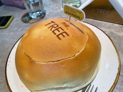 -大树餐厅(红旗街万达店)