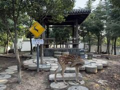 -观唐（国际）度假村温泉