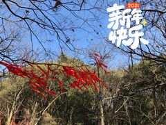 -灵岩山风景区