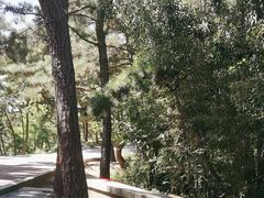 -刘公岛风景名胜区索道站-售票处