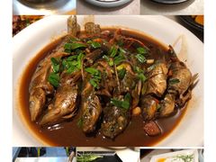 -東大方(湖州白鹭迎店)