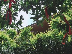 -黔灵山公园