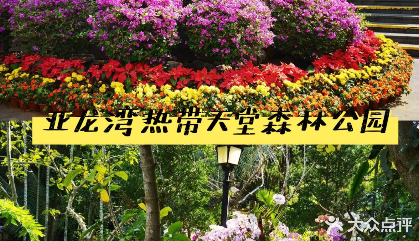 三亚最新攻略，春季出游必备