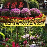 三亚最新攻略，春季出游必备