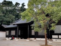 -荔湾湖公园