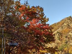 -关门山森林公园
