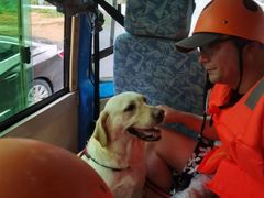 -安吉龙王山峡谷漂流