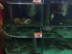水产区-锋味海鲜菜馆