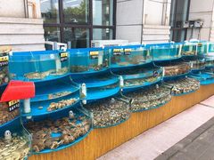 水产区-京秀缘蒸汽海鲜农家菜大馅蒸饺