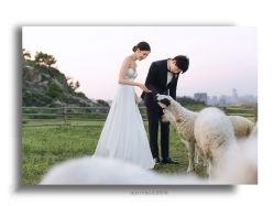 -花漾摄影优选工作室(东莞原创作品店)