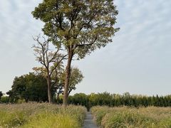 -汉长安城未央宫国家考古遗址公园