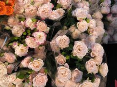 -循礼门鲜花花市(武汉循礼门店)