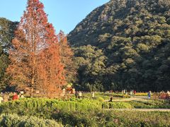 -广州市石门国家森林公园