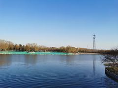 -大兴滨河森林公园