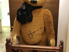 -济州岛泰迪熊博物馆