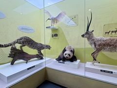 -国家自然博物馆