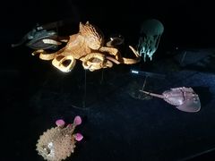 -同济大学四平路校区深海探索馆