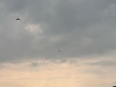 -成飞公园