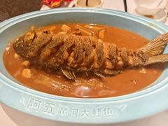 -阿五黄河大鲤鱼(海尚店)