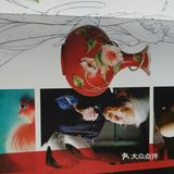 法蓝瓷（2）