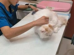 -御宝贝24h宠物医院·转诊中心·CT核磁血透中心(厦门总院)