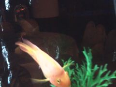 -北京邮电会议中心