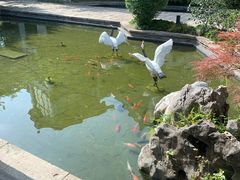 -广富林宰相府酒店·水云间