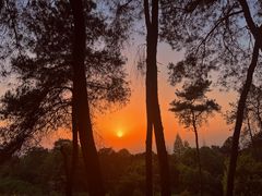 -铁山坪森林公园