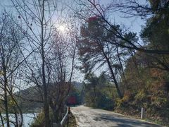 -青龙山国家森林公园