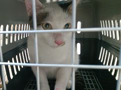 -宠颐生宠物医院·骨外科·犬猫全科诊疗中心(池州店)